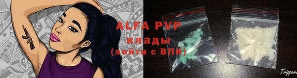 гашик Абаза
