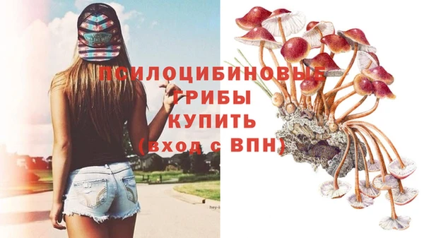гашик Абаза
