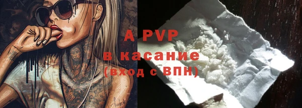 гашик Абаза