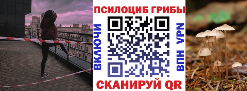 Галлюциногенные грибы GOLDEN TEACHER  цены наркотик  Щучье 